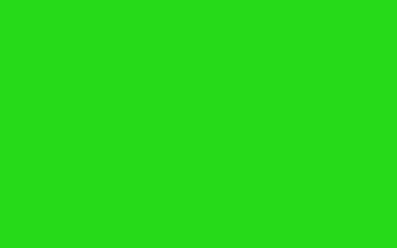 8_X_5_GREEN.jpg